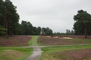 Swinley Forest 2nd